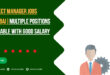 Project Manager Jobs In Dubai