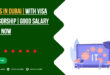 IT Jobs